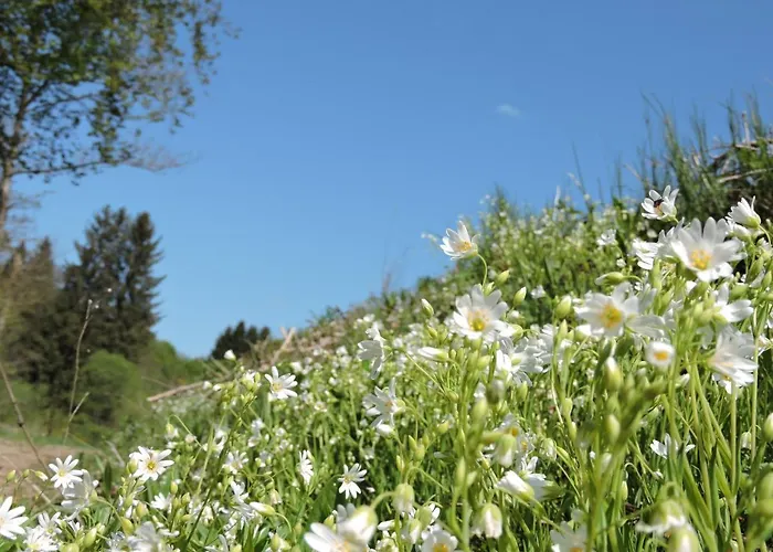 Seveniger Muehle בית נופש *