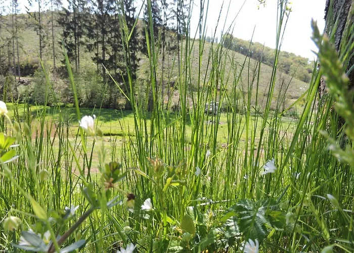 Seveniger Muehle בית נופש *